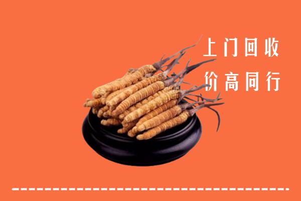 阿坝州红原回收散虫草