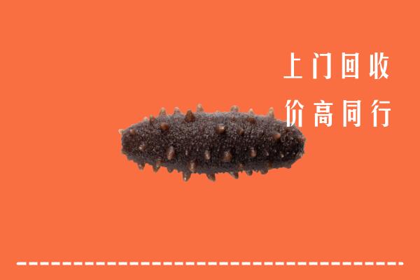 阿坝州红原回收海参