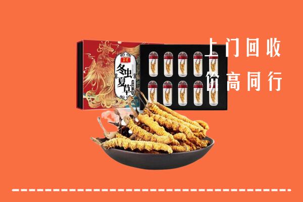 阿坝州红原回收虫草